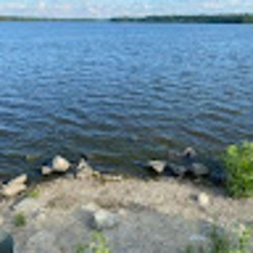 Meet your Posher, Gloria